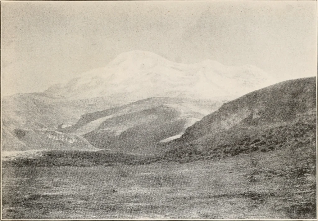 An illustration from Brief biography and popular account of the unparalleled discoveries of T.J.J. See, 1913, leaf 260