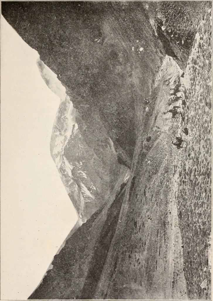 An illustration from Brief biography and popular account of the unparalleled discoveries of T.J.J. See, 1913, leaf 266