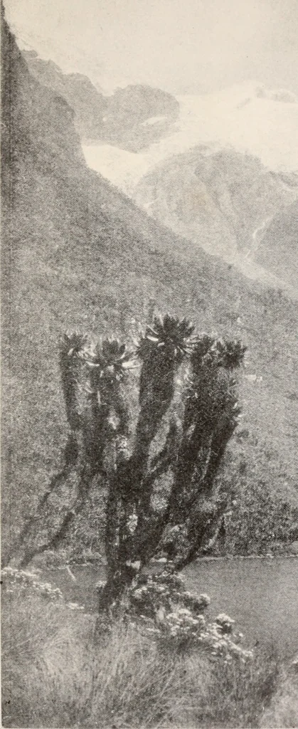 An illustration from Brief biography and popular account of the unparalleled discoveries of T.J.J. See, 1913, leaf 312