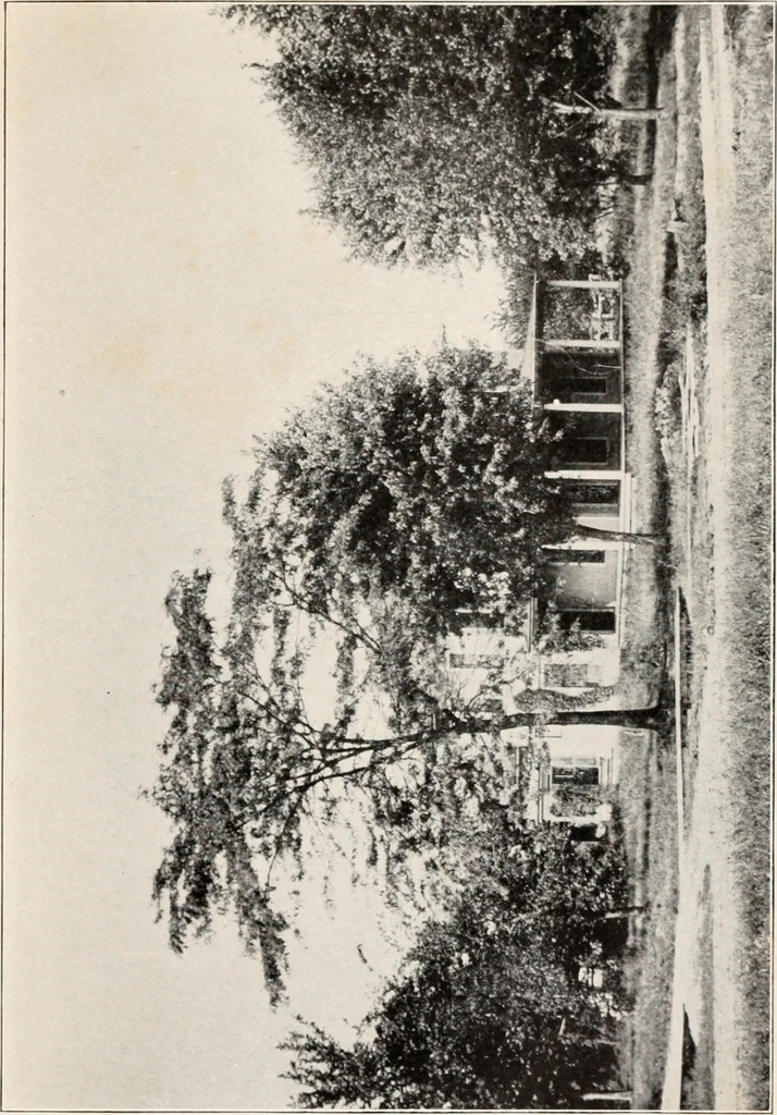 An illustration from Brief biography and popular account of the unparalleled discoveries of T.J.J. See, 1913, leaf 48
