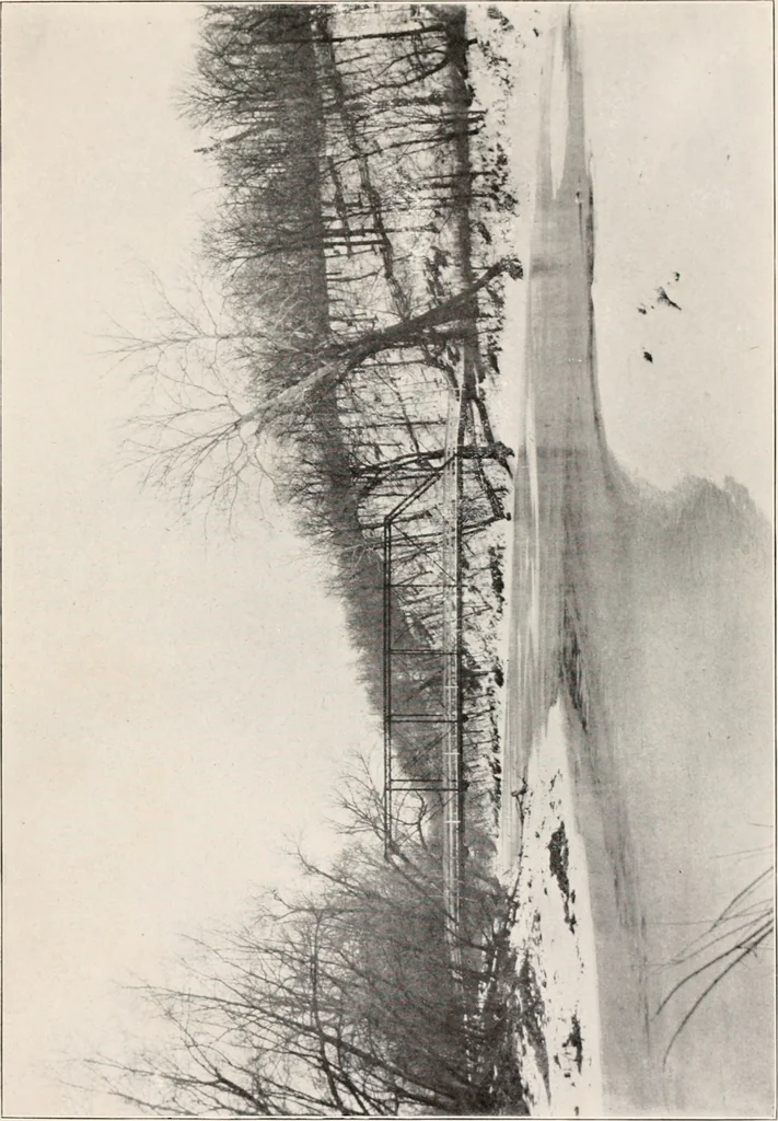 An illustration from Brief biography and popular account of the unparalleled discoveries of T.J.J. See, 1913, leaf 50