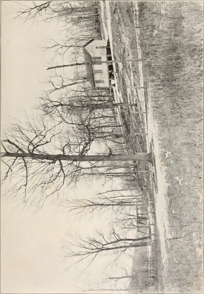 An illustration from Brief biography and popular account of the unparalleled discoveries of T.J.J. See, 1913, leaf 54