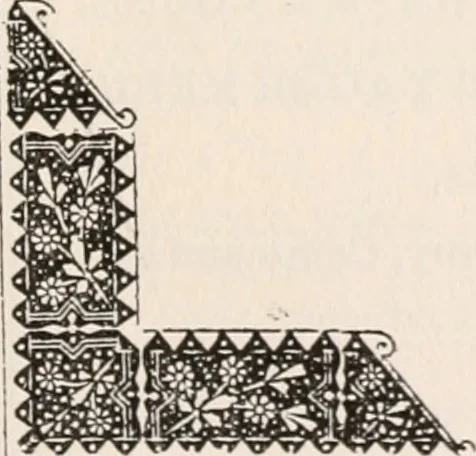 An illustration from Brief biography and popular account of the unparalleled discoveries of T.J.J. See, 1913, leaf 92