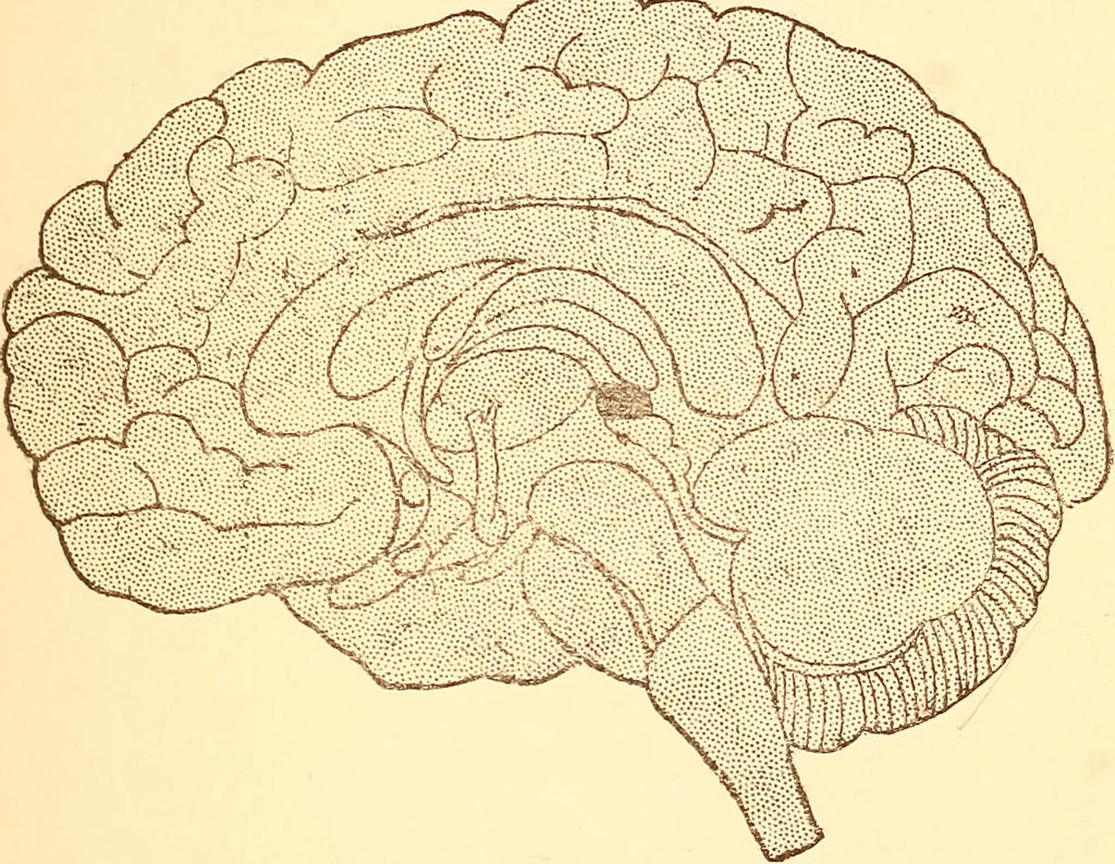 An illustration from A brief course in mediumship, 1915, leaf 34