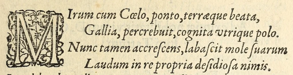 An illustration from Brief discours de la magnifique reception faicte par la Maiesté du roy Henry troisiesme ... aux ambassadeurs des puissans & libre potentats, Suisses, Grisons, & leurs coalliez ..., 1585, leaf 9