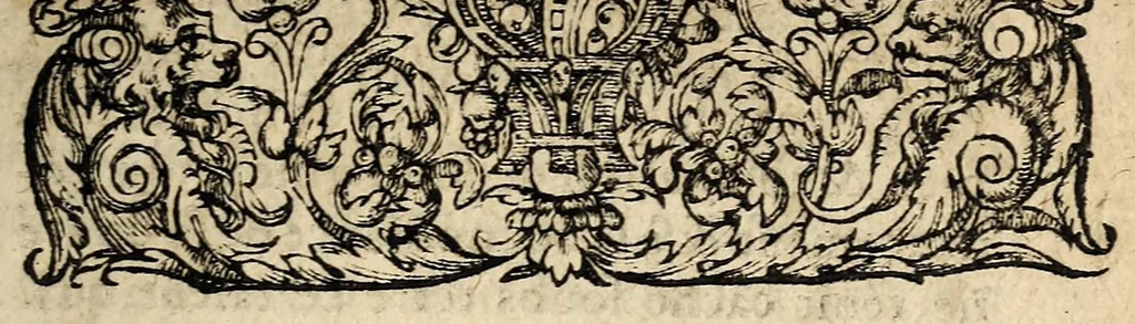 An illustration from Brief discours du merueilleux & terrible accident aduenu par feu, en la ville de Venise, apres les triumphes & magnifiscences faictes a l'election du duc. Auec vne exortation faicte au peuple par vn docteur en theologie d'icelle ville., 1574, leaf 11