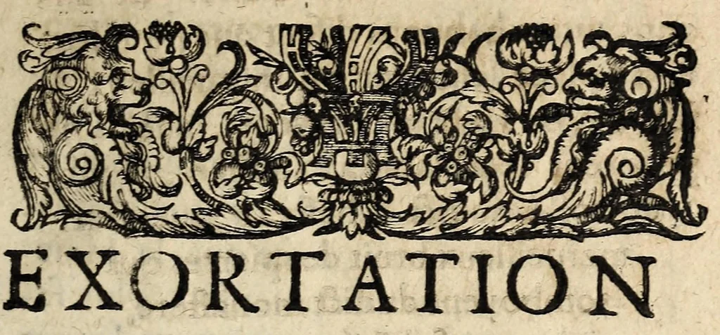 An illustration from Brief discours du merueilleux & terrible accident aduenu par feu, en la ville de Venise, apres les triumphes & magnifiscences faictes a l'election du duc. Auec vne exortation faicte au peuple par vn docteur en theologie d'icelle ville., 1574, leaf 27