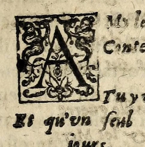 An illustration from Brief discours du merueilleux & terrible accident aduenu par feu, en la ville de Venise, apres les triumphes & magnifiscences faictes a l'election du duc. Auec vne exortation faicte au peuple par vn docteur en theologie d'icelle ville., 1574, leaf 33
