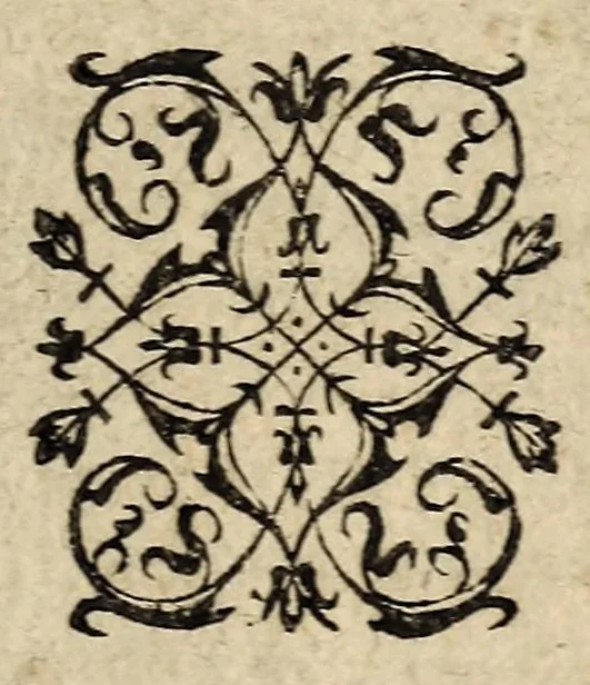 An illustration from Brief discours du merueilleux & terrible accident aduenu par feu, en la ville de Venise, apres les triumphes & magnifiscences faictes a l'election du duc. Auec vne exortation faicte au peuple par vn docteur en theologie d'icelle ville., 1574, leaf 5