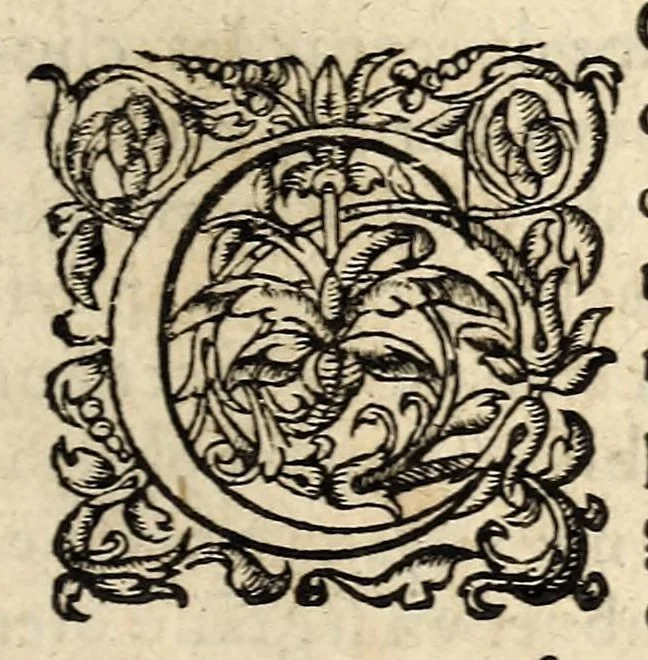 An illustration from Brief discours du merueilleux & terrible accident aduenu par feu, en la ville de Venise, apres les triumphes & magnifiscences faictes a l'election du duc. Auec vne exortation faicte au peuple par vn docteur en theologie d'icelle ville., 1574, leaf 7