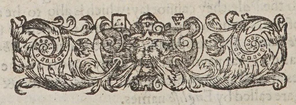 An illustration from A briefe description of the whole worlde. : Wherein is particularly described all the monarchies, empires and kingdomes of the same with their academies. Newly augmented and enlarged; with their seueralitles and scituations thereunto adioyning, 1608, leaf 164