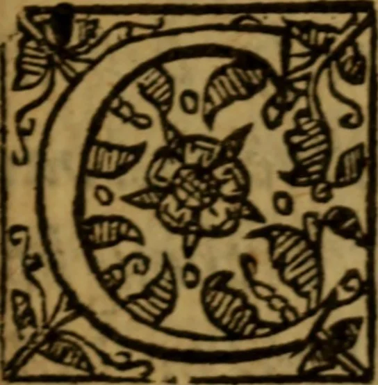 An illustration from Briefe directions unto a godly life : wherein every Christian is furnished with most necessary helps for the furthering of him in a godly course here upon earth, 1637, leaf 690