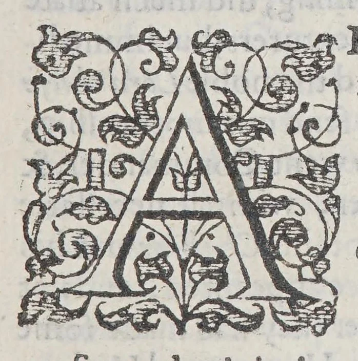 An illustration from A briefe relation of the discouery and plantation of Nevv England: : and of sundry accidents therein occurring, from the yeere of our Lord M. DC. VII. to this present M. DC. XXII. Together with the state thereof as now it standeth; the generall forme of gouernment intended; and the diuision of the whole territorie into counties, baronries, &c, 1622, leaf 13