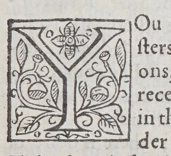 An illustration from A briefe relation of the discouery and plantation of Nevv England: : and of sundry accidents therein occurring, from the yeere of our Lord M. DC. VII. to this present M. DC. XXII. Together with the state thereof as now it standeth; the generall forme of gouernment intended; and the diuision of the whole territorie into counties, baronries, &c, 1622, leaf 29