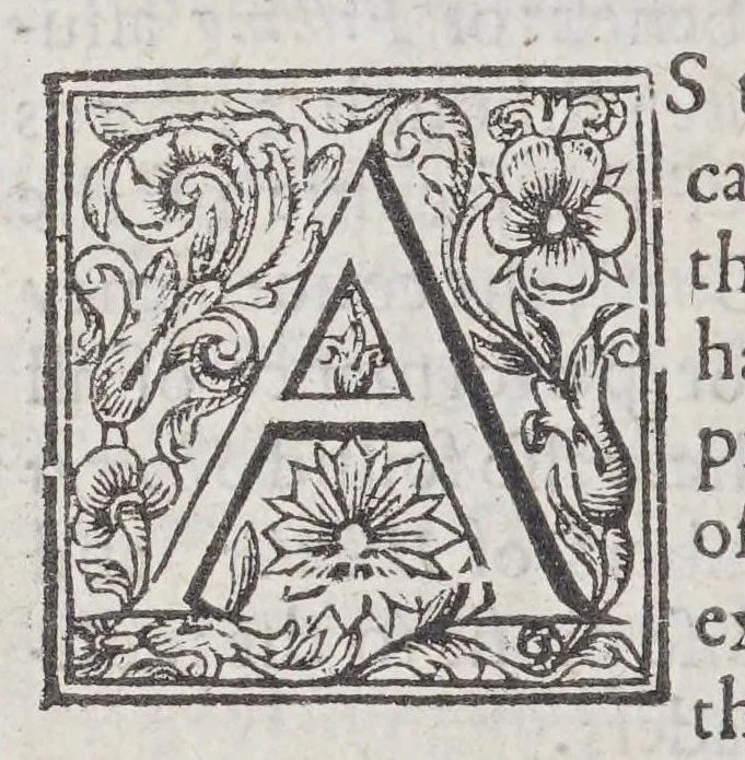 An illustration from A briefe relation of the discouery and plantation of Nevv England: : and of sundry accidents therein occurring, from the yeere of our Lord M. DC. VII. to this present M. DC. XXII. Together with the state thereof as now it standeth; the generall forme of gouernment intended; and the diuision of the whole territorie into counties, baronries, &c, 1622, leaf 36
