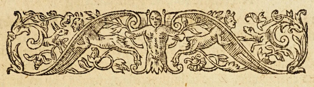 An illustration from A briefe and true relation of the discouerie of the north part of Virginia: being a most pleasant, fruitfull and commodious soile: : made this present yeere 1602, by captaine Bartholomew Gosnold, Captaine Bartholowmew [sic] Gilbert, and diuers other gentlemen their associats, by the permission of the honourable knight, Sir Walter Ralegh, &c., 1602, leaf 21