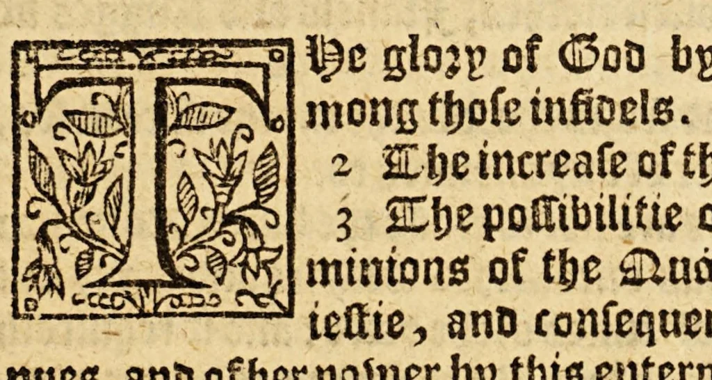 An illustration from A briefe and true relation of the discouerie of the north part of Virginia: being a most pleasant, fruitfull and commodious soile: : made this present yeere 1602, by captaine Bartholomew Gosnold, Captaine Bartholowmew [sic] Gilbert, and diuers other gentlemen their associats, by the permission of the honourable knight, Sir Walter Ralegh, &c., 1602, leaf 31