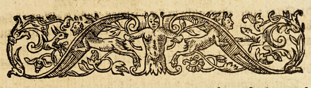An illustration from A briefe and true relation of the discouerie of the north part of Virginia: being a most pleasant, fruitfull and commodious soile: : made this present yeere 1602, by captaine Bartholomew Gosnold, Captaine Bartholowmew [sic] Gilbert, and diuers other gentlemen their associats, by the permission of the honourable knight, Sir Walter Ralegh, &c., 1602, leaf 43