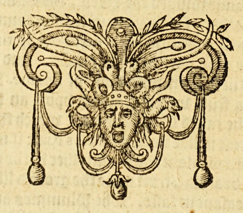 An illustration from A briefe and true relation of the discouerie of the north part of Virginia: being a most pleasant, fruitfull and commodious soile: : made this present yeere 1602, by captaine Bartholomew Gosnold, Captaine Bartholowmew [sic] Gilbert, and diuers other gentlemen their associats, by the permission of the honourable knight, Sir Walter Ralegh, &c., 1602, leaf 44