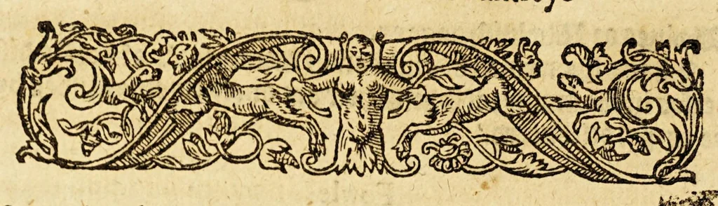 An illustration from A briefe and true relation of the discouerie of the north part of Virginia: being a most pleasant, fruitfull and commodious soile: : made this present yeere 1602, by captaine Bartholomew Gosnold, Captaine Bartholowmew [sic] Gilbert, and diuers other gentlemen their associats, by the permission of the honourable knight, Sir Walter Ralegh, &c., 1602, leaf 52