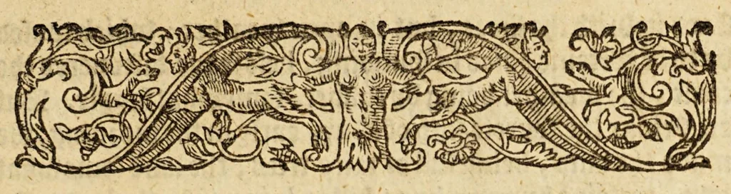 An illustration from A briefe and true relation of the discouerie of the north part of Virginia; being a most pleasant, fruitfull and commodious soile: : made this present yeere 1602, by captaine Bartholomew Gosnold, captaine Bartholowmew [sic] Gilbert, and diuers other gentlemen their associats, by the permission of the honourable knight, Sir Walter Ralegh, &c., 1602, leaf 11