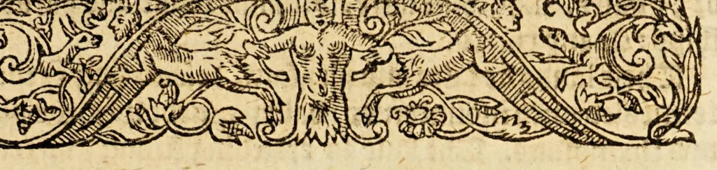 An illustration from A briefe and true relation of the discouerie of the north part of Virginia; being a most pleasant, fruitfull and commodious soile: : made this present yeere 1602, by captaine Bartholomew Gosnold, captaine Bartholowmew [sic] Gilbert, and diuers other gentlemen their associats, by the permission of the honourable knight, Sir Walter Ralegh, &c., 1602, leaf 23