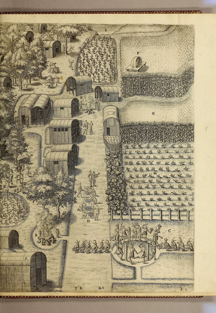 An illustration from A briefe and true report of the new found land of Virginia, : of the commodities and of the nature and manners of the naturall inhabitants. Discouered by the English colony there seated by Sir Richard Greinuile knight in the yeere 1585. Which remained vnder the gouernment of twelue monethes, at the speciall charge and direction of the honourable Sir Walter Raleigh knight lord warden of the stanneries who therein hath beene fauoured and authorised by her maiestie and her letters patents:, 1590, leaf 101