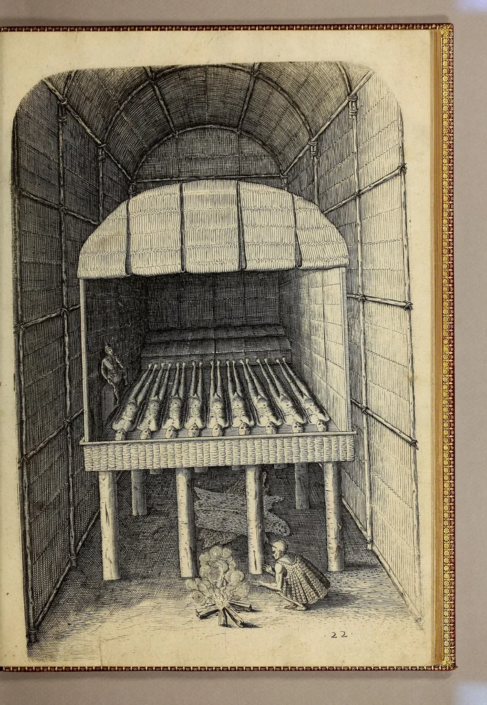 An illustration from A briefe and true report of the new found land of Virginia, : of the commodities and of the nature and manners of the naturall inhabitants. Discouered by the English colony there seated by Sir Richard Greinuile knight in the yeere 1585. Which remained vnder the gouernment of twelue monethes, at the speciall charge and direction of the honourable Sir Walter Raleigh knight lord warden of the stanneries who therein hath beene fauoured and authorised by her maiestie and her letters patents:, 1590, leaf 107