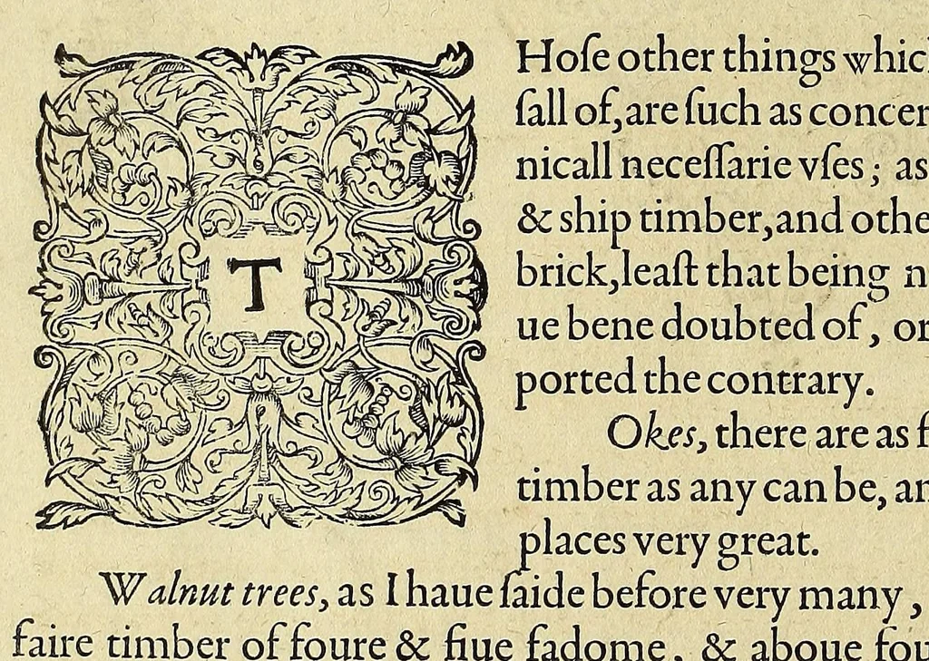 An illustration from A briefe and true report of the new found land of Virginia, : of the commodities and of the nature and manners of the naturall inhabitants. Discouered by the English colony there seated by Sir Richard Greinuile knight in the yeere 1585. Which remained vnder the gouernment of twelue monethes, at the speciall charge and direction of the honourable Sir Walter Raleigh knight lord warden of the stanneries who therein hath beene fauoured and authorised by her maiestie and her letters patents:, 1590, leaf 32