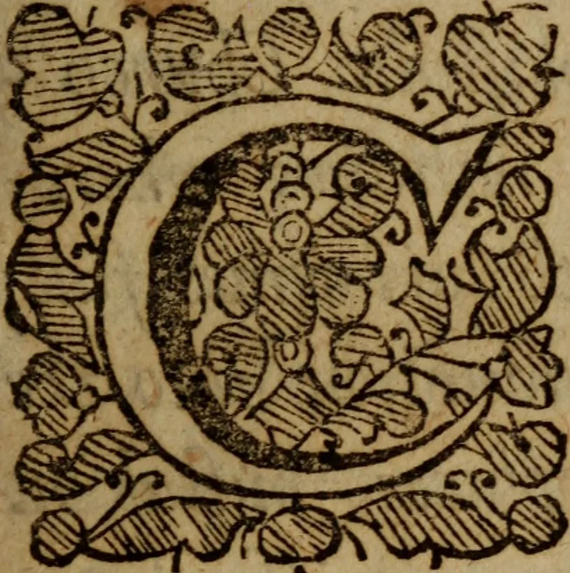 An illustration from A brief explication of the first fifty Psalms, 1653, leaf 14