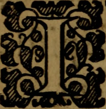 An illustration from A brief exposition of the epistles of Paul to the Galatians and Ephesians, 1659, leaf 339
