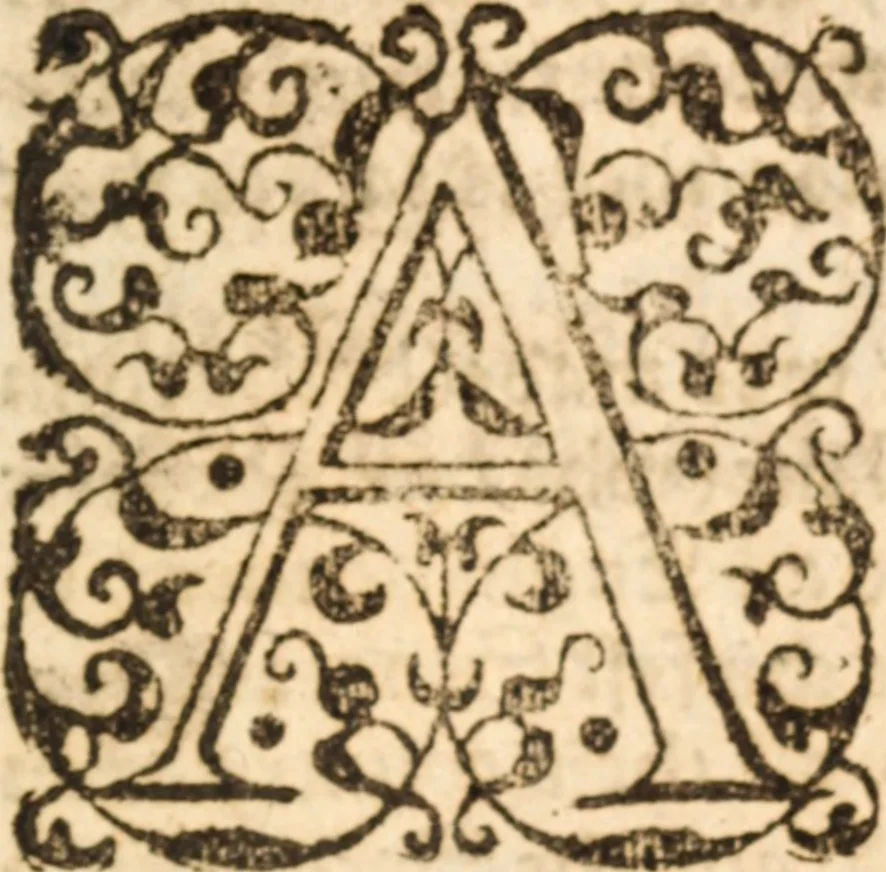 An illustration from A brieff discours off the troubles begonne at Franckford in Germany, Anno Domini 1554 .., 1575, leaf 14
