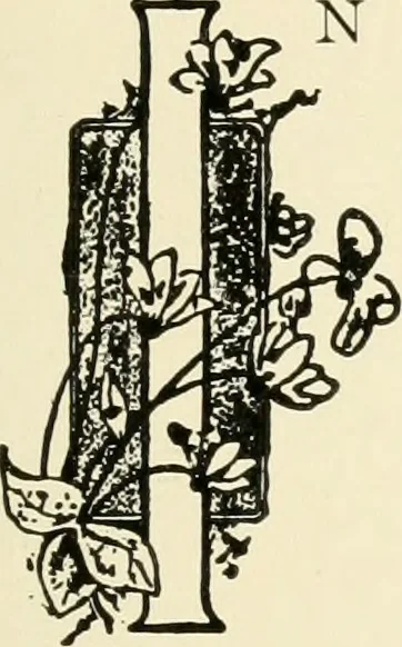An illustration from A brief history of the Detroit Museum of Art and its collections : illustrated, 1902, leaf 16