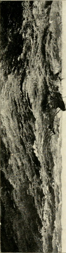 An illustration from A brief history of the Detroit Museum of Art and its collections : illustrated, 1902, leaf 20