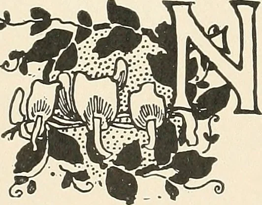 An illustration from A brief history of the Detroit Museum of Art and its collections : illustrated, 1902, leaf 39