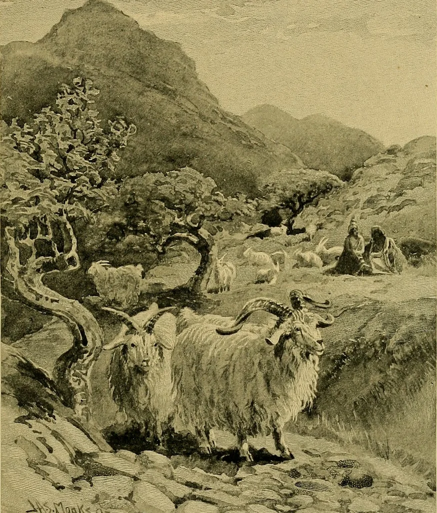 An illustration from A brief outline of the business of William Whitman & co. .., 1910, leaf 34