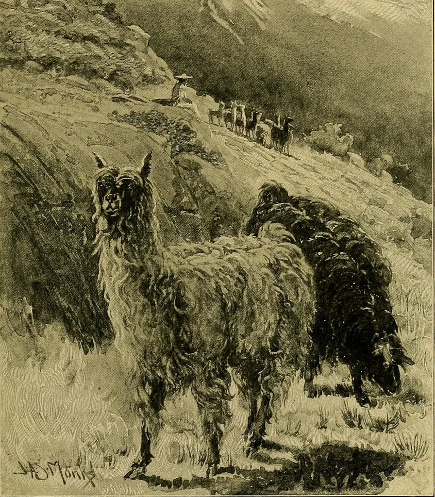 An illustration from A brief outline of the business of William Whitman & co. .., 1910, leaf 42