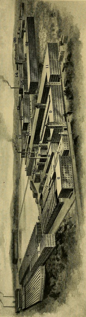 An illustration from A brief outline of the business of William Whitman & co. .., 1910, leaf 47