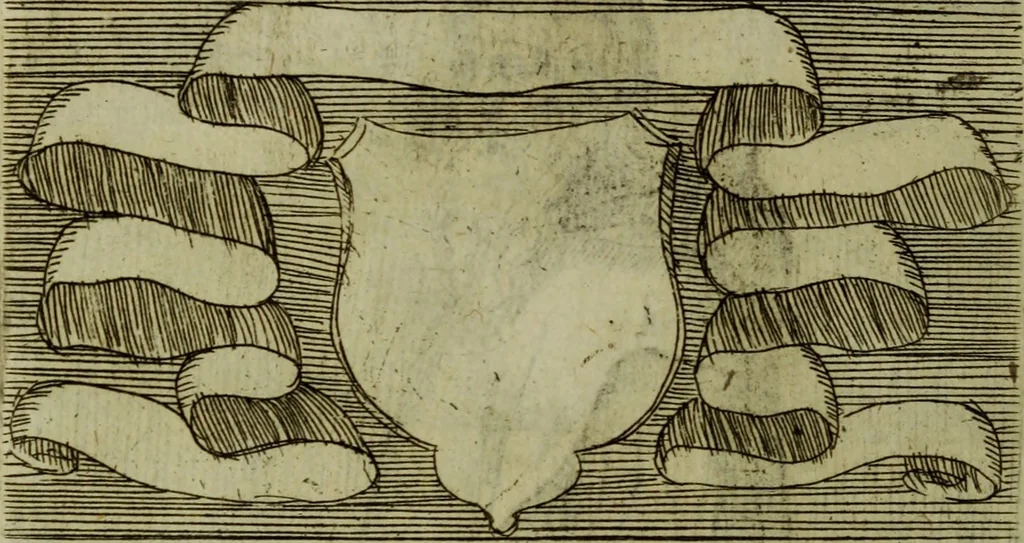 An illustration from Briefve histoire de l'institution des ordres religieux : avec les figures de leurs habits, 1680, leaf 103