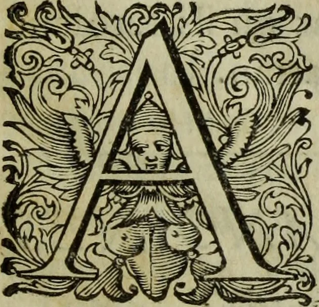 An illustration from Briefve histoire de l'institution des ordres religieux : avec les figures de leurs habits, 1680, leaf 12