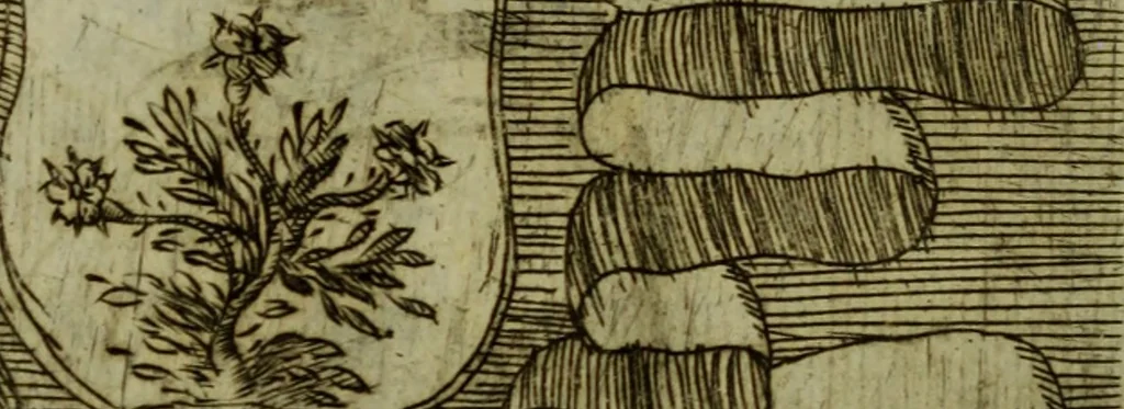 An illustration from Briefve histoire de l'institution des ordres religieux : avec les figures de leurs habits, 1680, leaf 123
