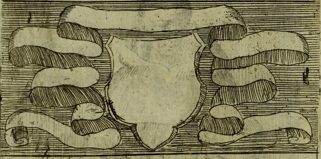 An illustration from Briefve histoire de l'institution des ordres religieux : avec les figures de leurs habits, 1680, leaf 127