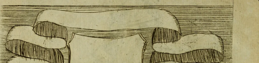 An illustration from Briefve histoire de l'institution des ordres religieux : avec les figures de leurs habits, 1680, leaf 139