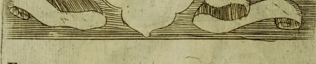 An illustration from Briefve histoire de l'institution des ordres religieux : avec les figures de leurs habits, 1680, leaf 139