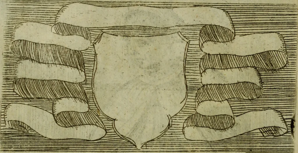 An illustration from Briefve histoire de l'institution des ordres religieux : avec les figures de leurs habits, 1680, leaf 161