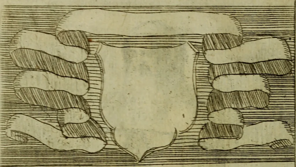 An illustration from Briefve histoire de l'institution des ordres religieux : avec les figures de leurs habits, 1680, leaf 163