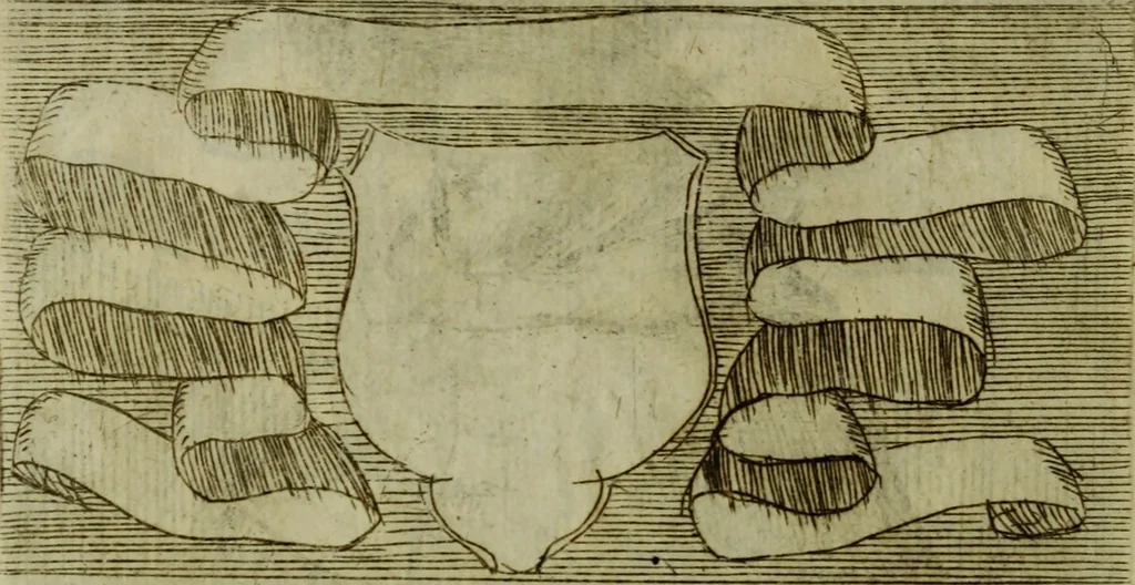 An illustration from Briefve histoire de l'institution des ordres religieux : avec les figures de leurs habits, 1680, leaf 175