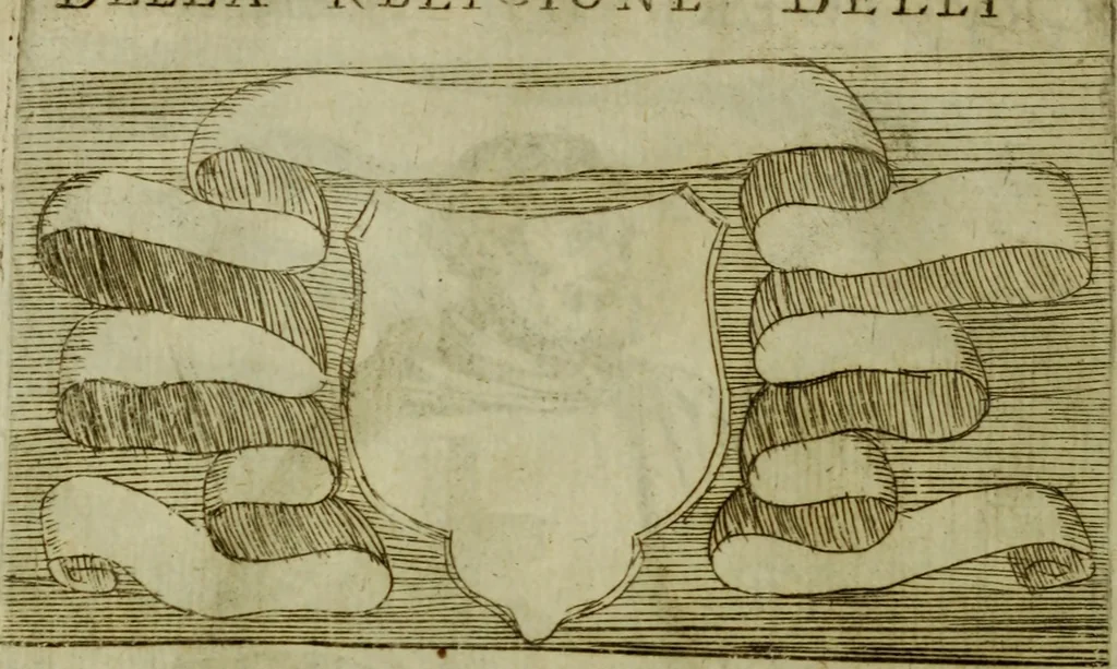 An illustration from Briefve histoire de l'institution des ordres religieux : avec les figures de leurs habits, 1680, leaf 181