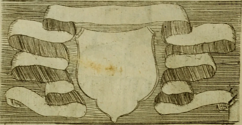 An illustration from Briefve histoire de l'institution des ordres religieux : avec les figures de leurs habits, 1680, leaf 183