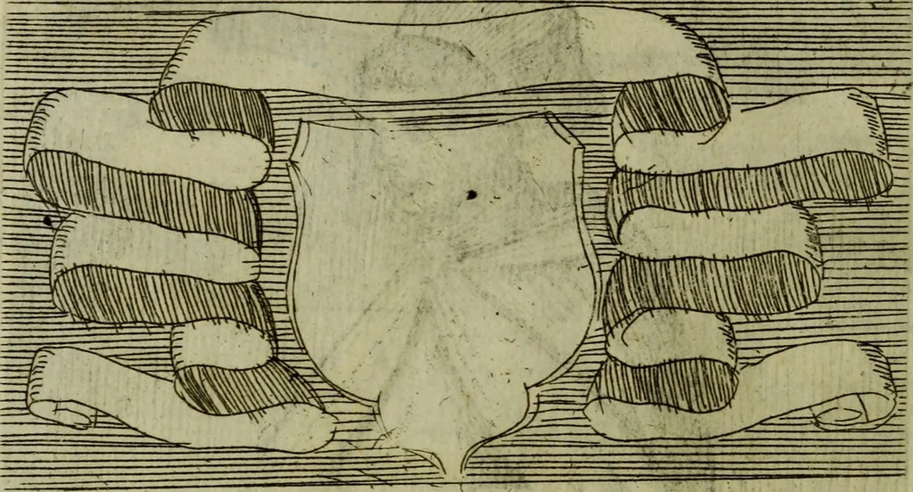 An illustration from Briefve histoire de l'institution des ordres religieux : avec les figures de leurs habits, 1680, leaf 75